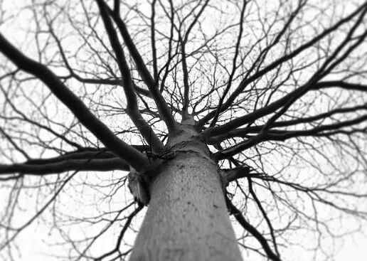 可以有个地方看LED照明行业所有活动信息吗？