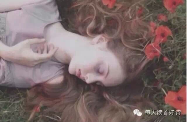 【英】安德鲁·马维尔《致羞涩的情人》