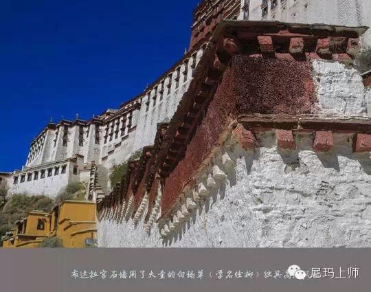 布达拉宫—到底隐藏了多少秘密 - 快乐者 快乐着 - shangshanruoshui的博客 布达拉宫—到底隐藏了多少秘密 - 快乐者 快乐着 - shangshanruoshui的博客