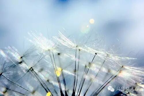 张小娴：愚蠢的约定