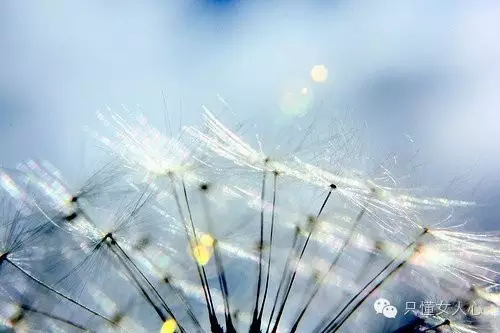 张小娴:愚蠢的约定 张小娴:愚蠢的约定
