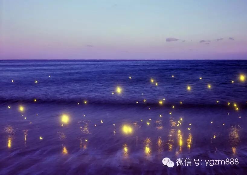 光影涂鸦 打造令人沉醉的大自然景观