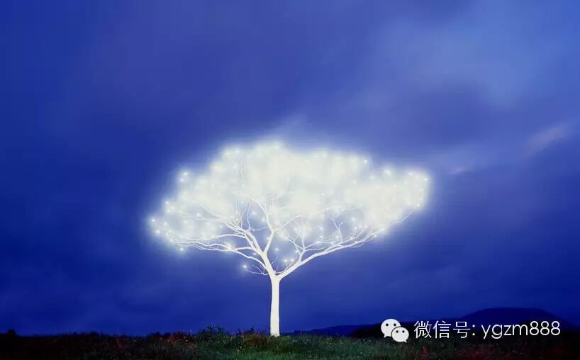 光影涂鸦 打造令人沉醉的大自然景观