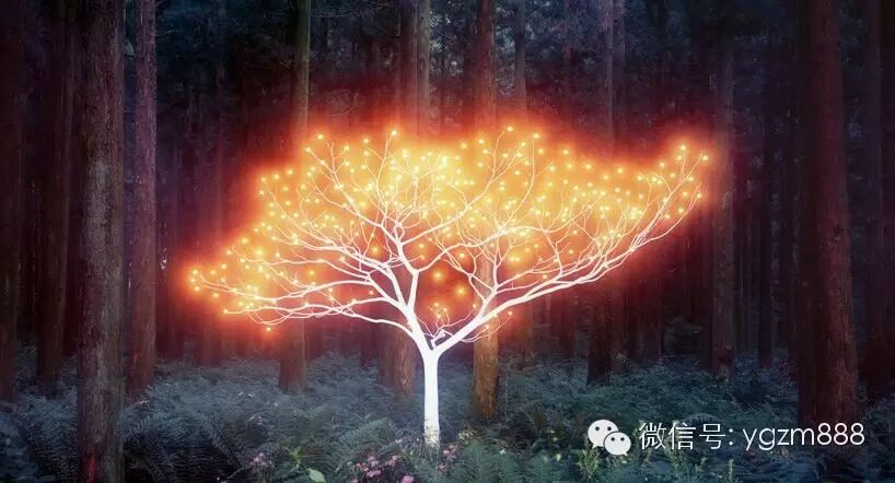 光影涂鸦 打造令人沉醉的大自然景观