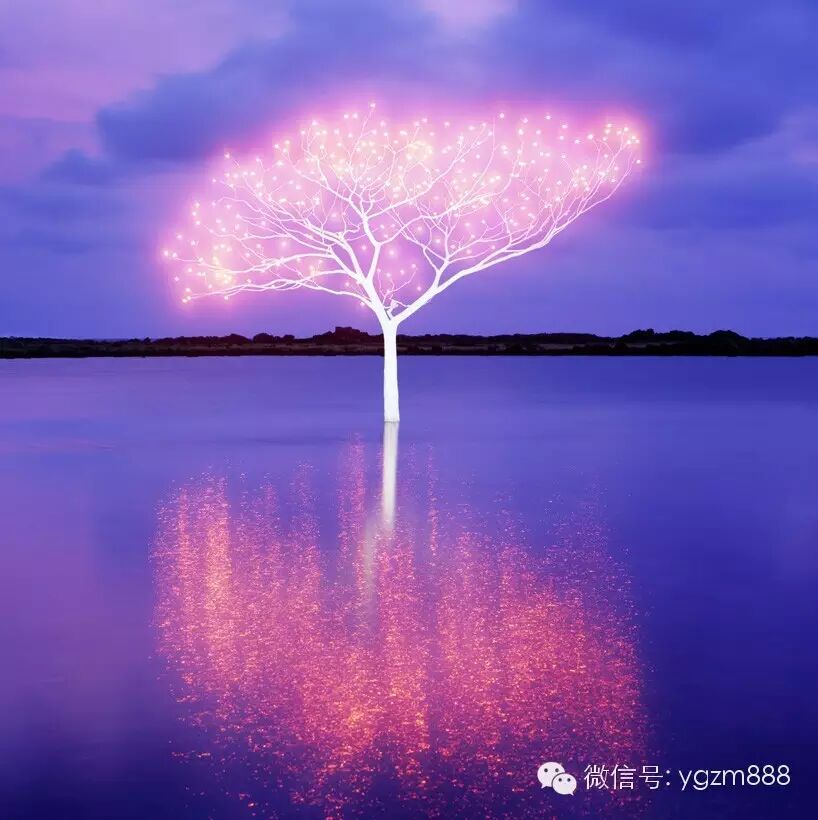 光影涂鸦 打造令人沉醉的大自然景观