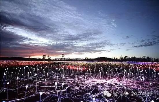 太壮观！创意灯光装置让沙漠开出5万朵“花”