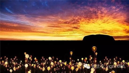 太壮观！创意灯光装置让沙漠开出5万朵“花”