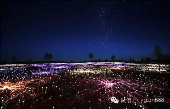 太壮观！创意灯光装置让沙漠开出5万朵“花”