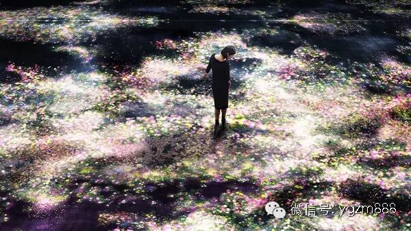 你所看到的这一瞬间，只限此时此刻