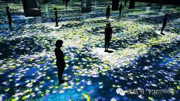 你所看到的这一瞬间，只限此时此刻