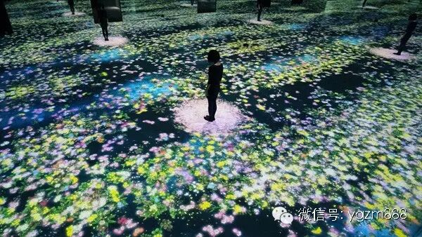 你所看到的这一瞬间，只限此时此刻