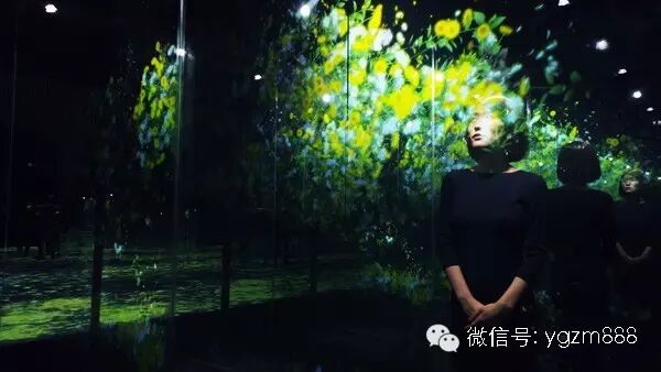 你所看到的这一瞬间，只限此时此刻