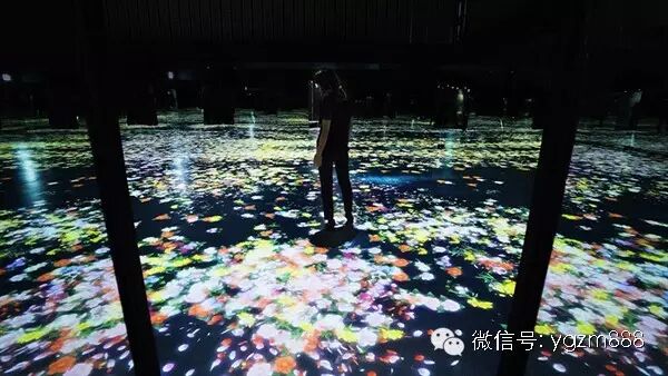 你所看到的这一瞬间，只限此时此刻