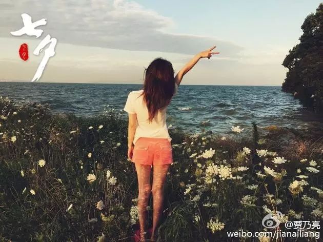 贾乃亮七夕表白李小璐:永远是鲜艳小花朵