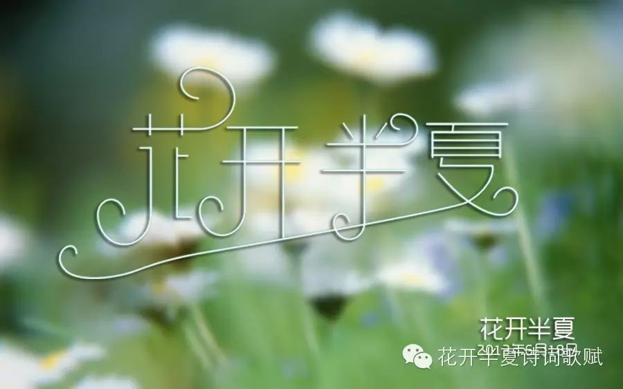 花开半夏诗词歌赋: hk1010666