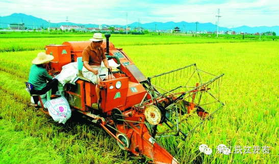 收入证明_2017收入倍增计划