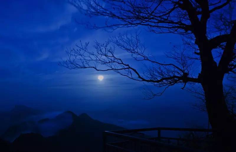 人闲桂花落,夜静春山空.