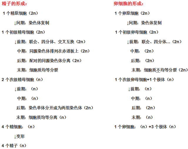 高中生物必修二知识点总结