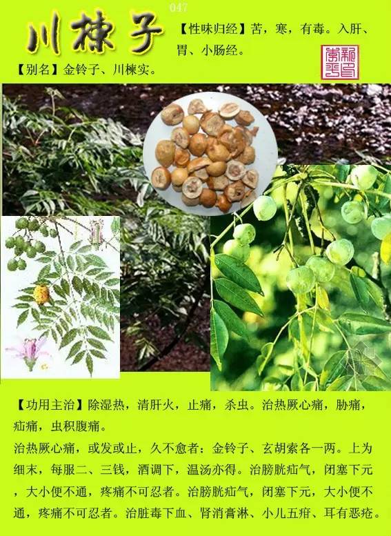 中药并没有我们想象的那么可怕,他们都是一个个的小故事,故事很美