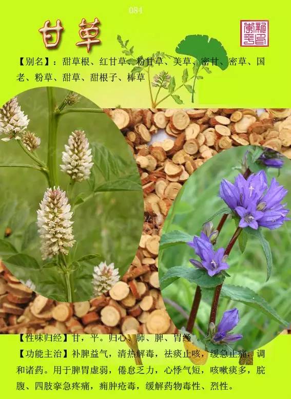 300种常用中药材彩色图谱赏析