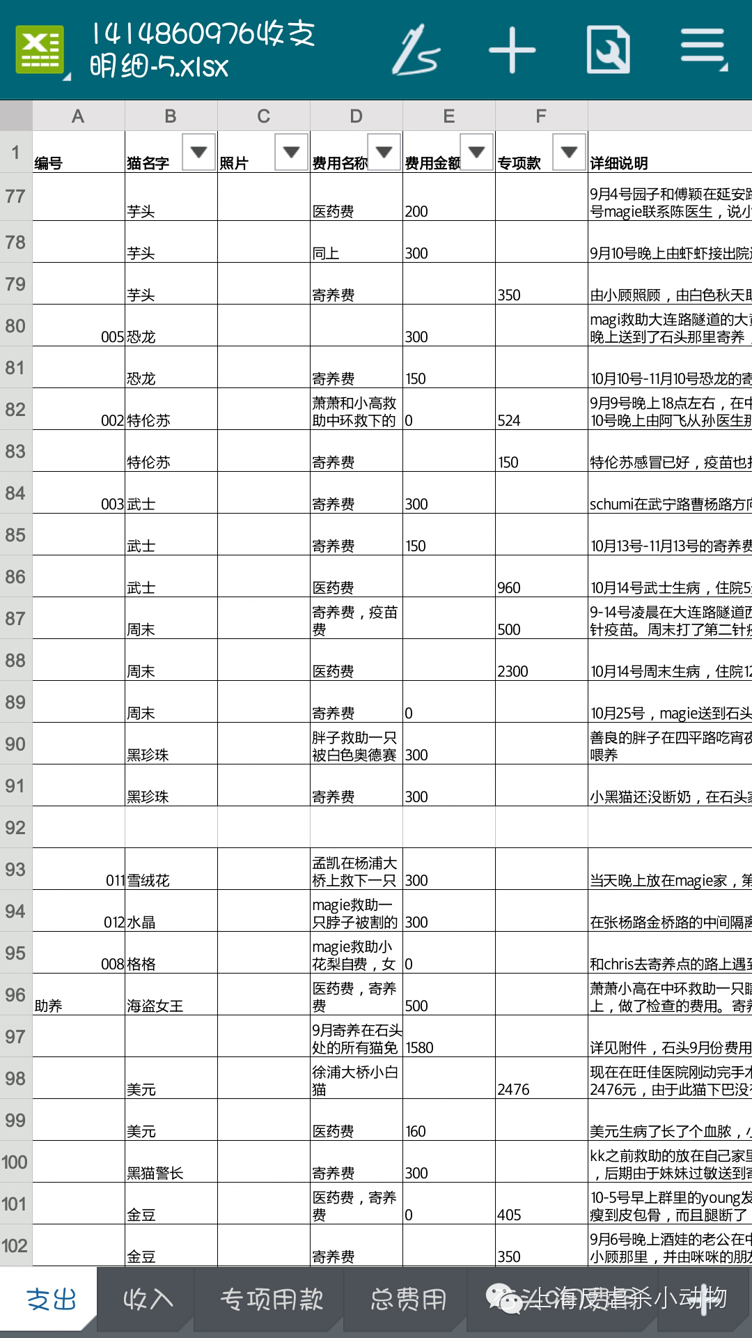 收入支出表格模板_工行收入支出明细