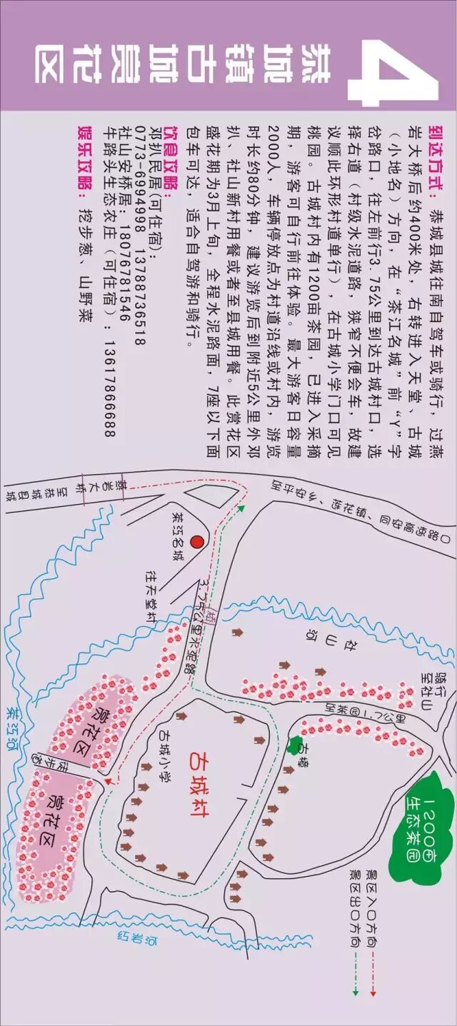 恭城桃花节来了，约吗？339 / 作者:深秋的落叶 / 帖子ID:164441