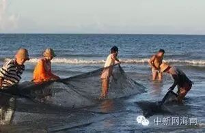 【一周岛事】患儿父亲殴打怀孕护士、初中生遭群殴喂＂摇头丸＂-怀孕期