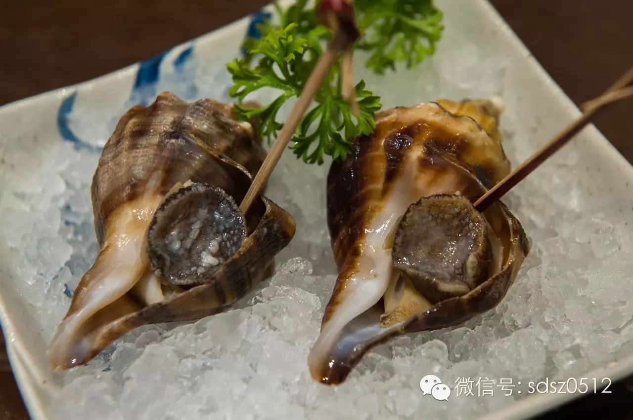 超!大!只!的红螺!