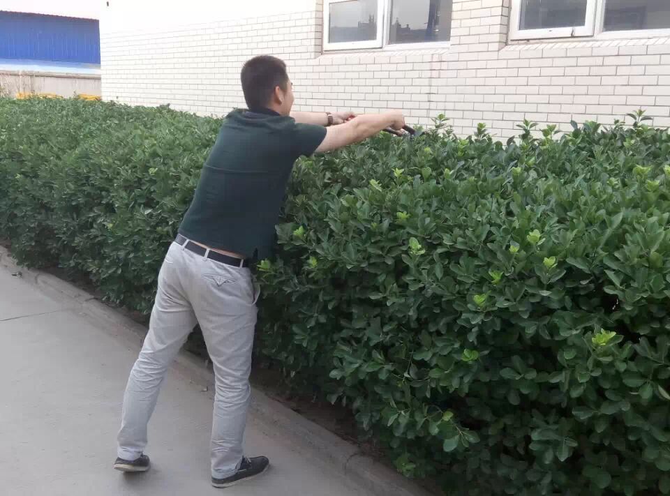 开云机械除草活动