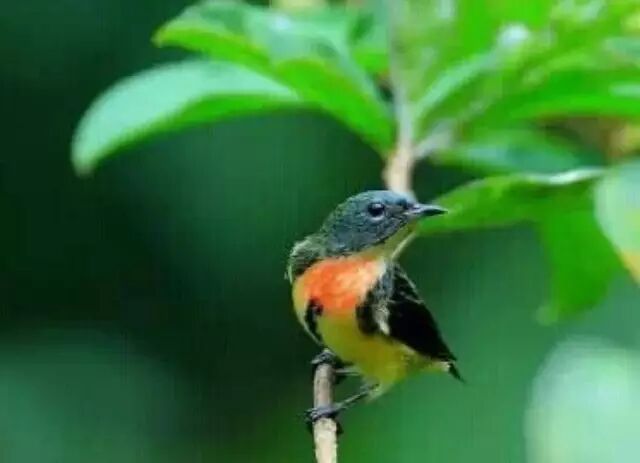 һ�� + һ�� = Բ��