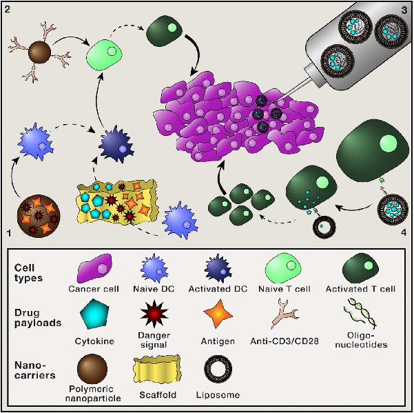 cell:癌症治疗,纳米科技发挥大作用