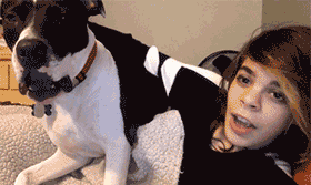 【每日内涵】人与人之间最基本的信任呢？！574 / 作者:红通通 / 帖子ID:112030