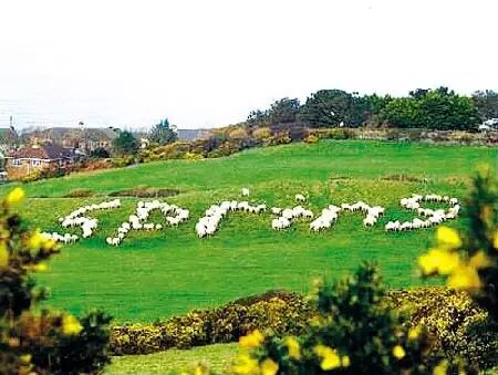 Summer是夏天还是春天？莎士比亚也糊涂了