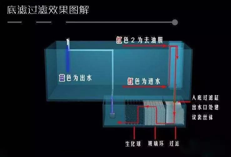 点击量超4万:鱼缸底滤原理及优缺点