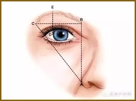 23张图教会你眼睑成形术与眉提升术
