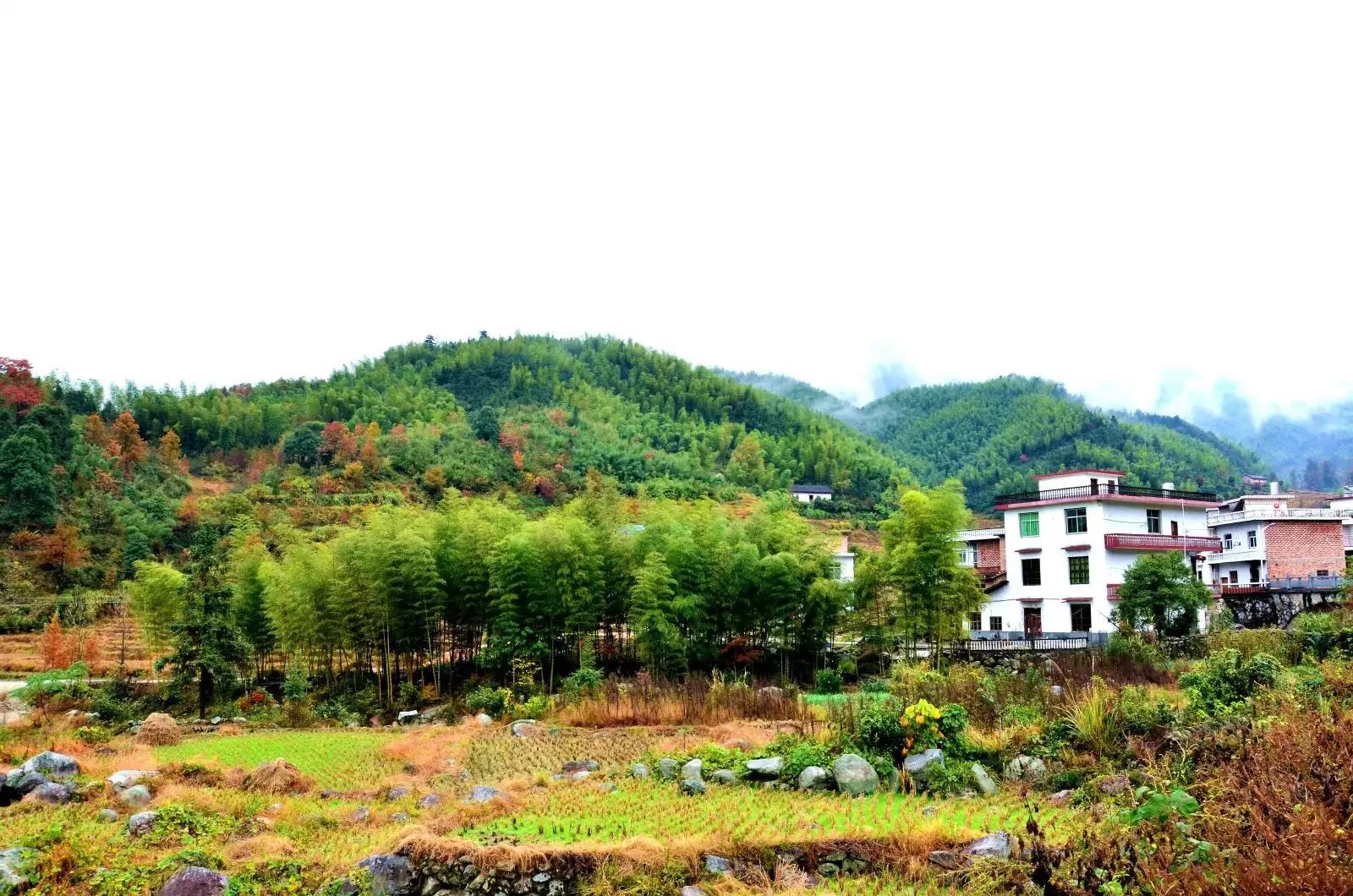 龙山村：武功山下秋色撩人的村庄