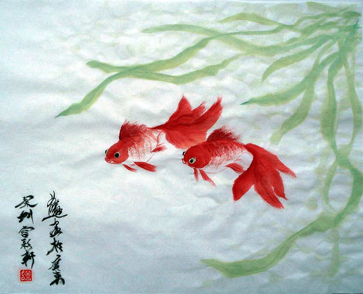 保健养生|观赏金鱼有助养生