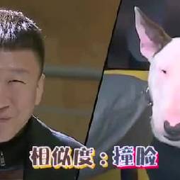 孙红雷和黄渤撞脸记!