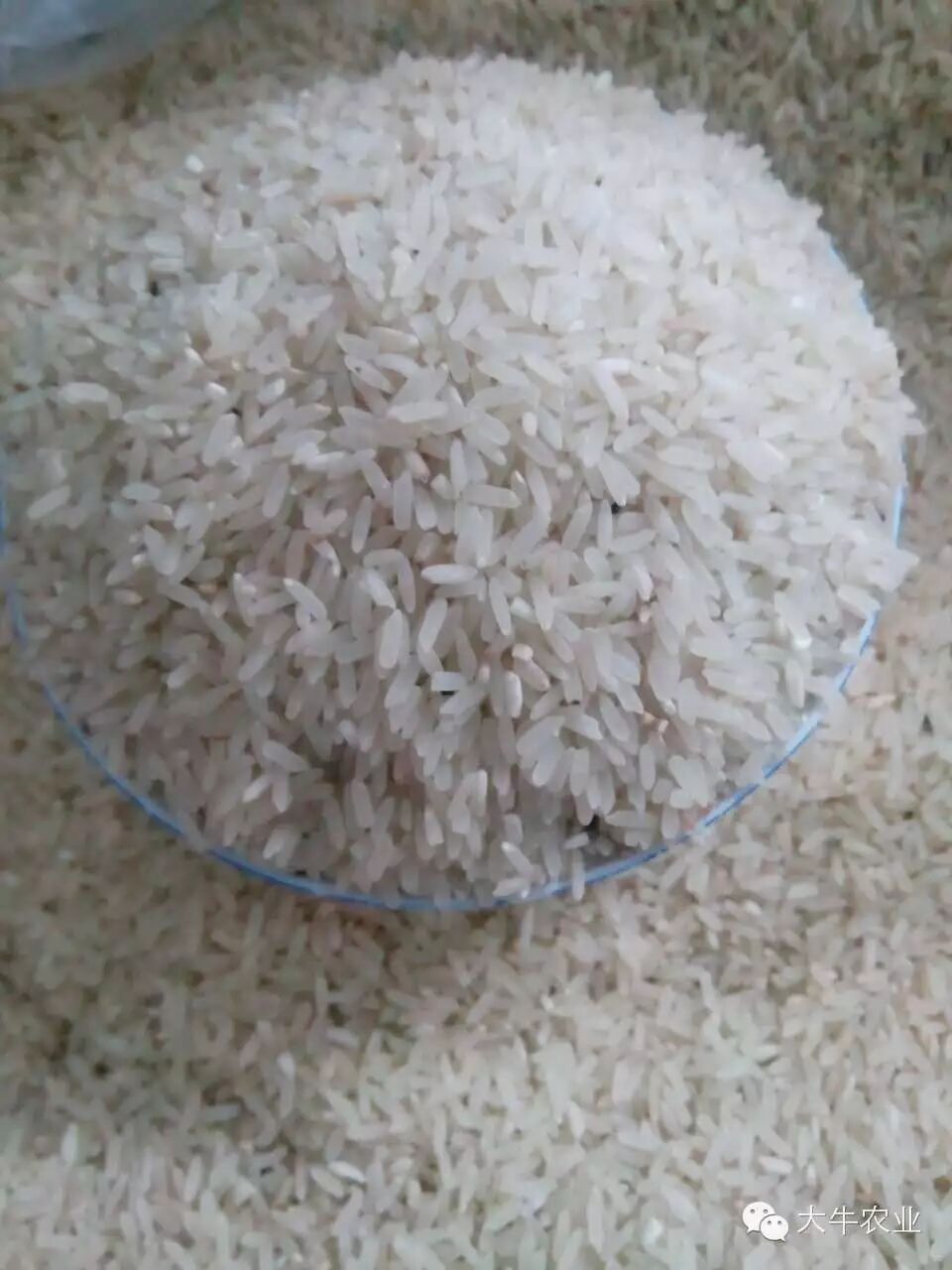 农残与糖尿病的关系——怀孕时接触农药罹患妊娠糖尿病的风险增加四倍-怀孕期