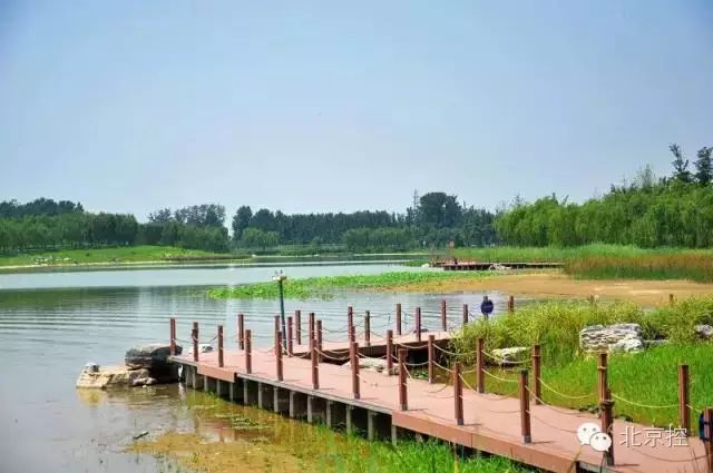 地址:北京市大兴区瀛海镇南海子