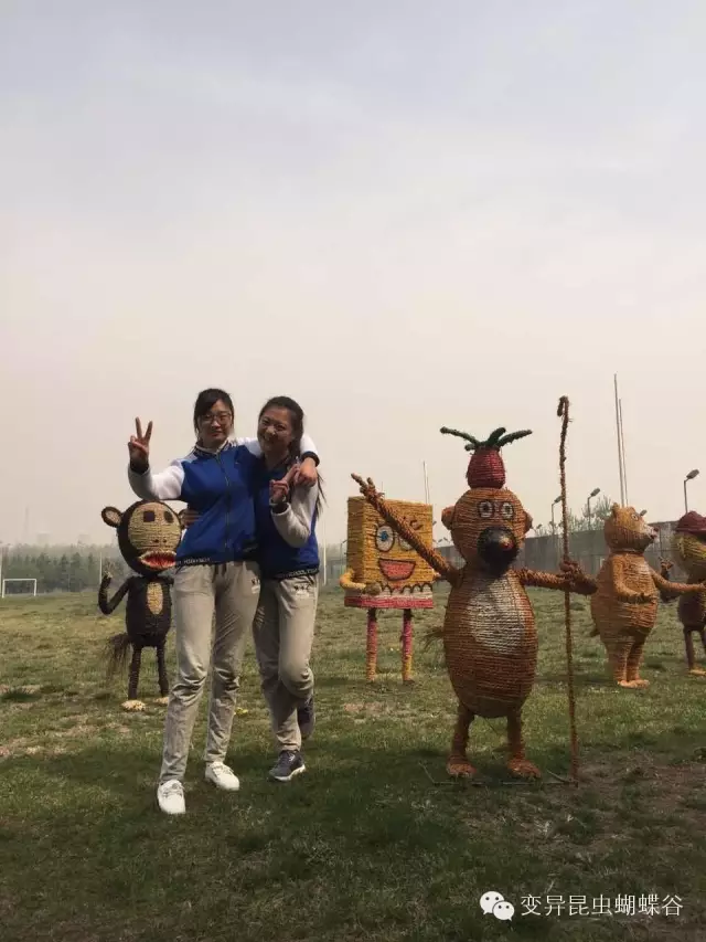 登录查看大图