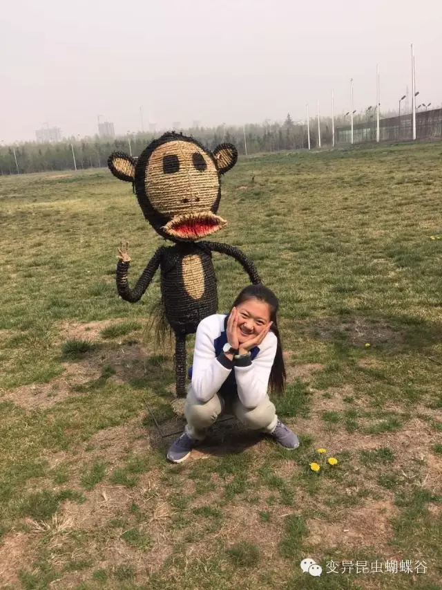 登录查看大图