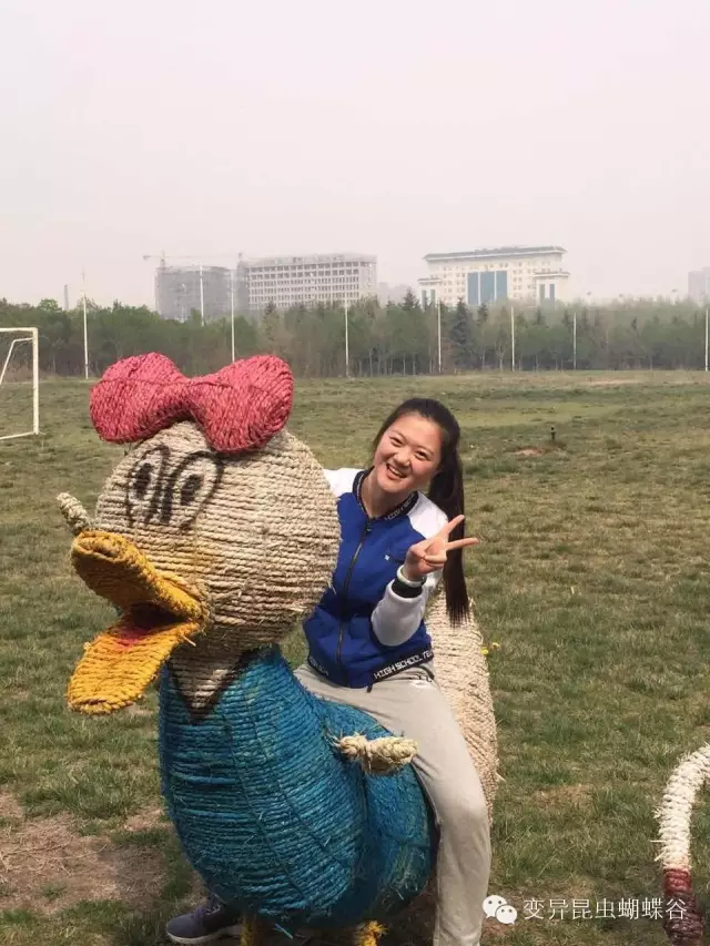 登录查看大图