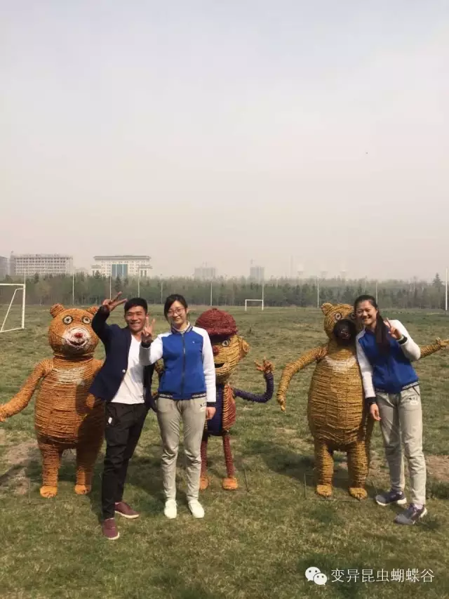 登录查看大图