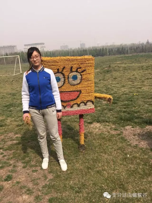 登录查看大图