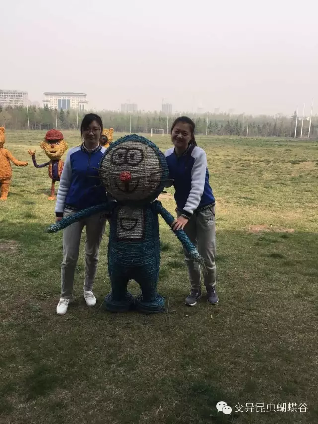 登录查看大图