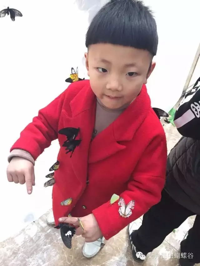登录查看大图