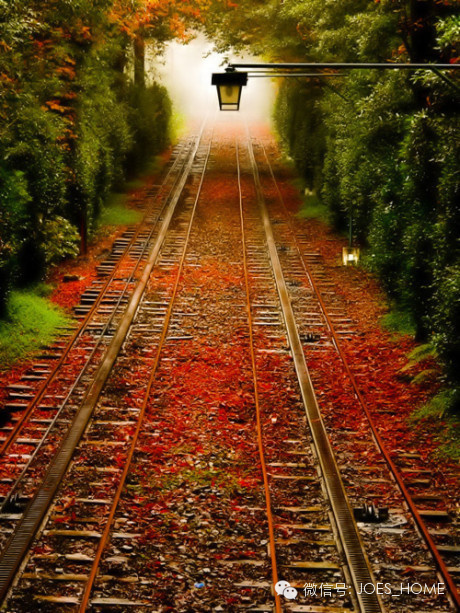 泰戈尔诗选之：旅行（双语）