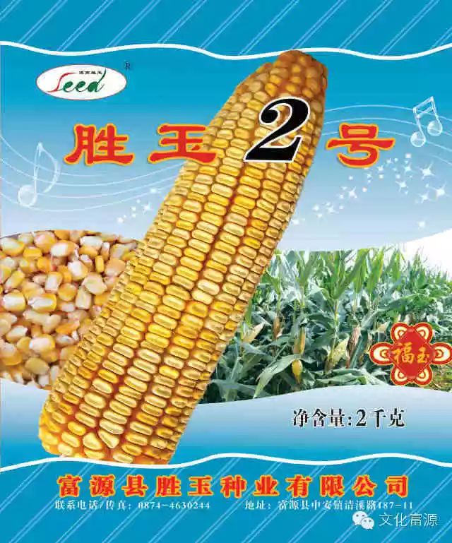 富源特产之——菜籽油,新品种玉米,小黄姜,土蜂蜜,厚朴