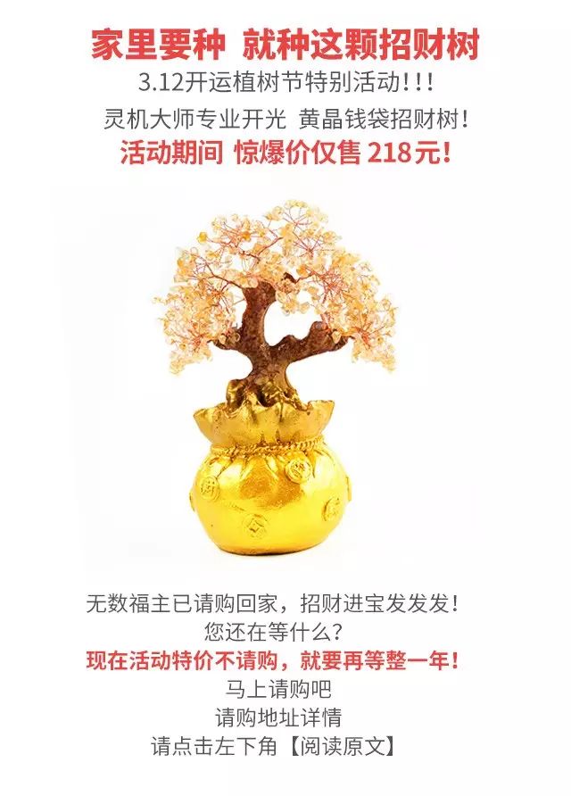 财位又有招财效果的植物的,但无论上面哪一 种,都是为了提升财运而用!